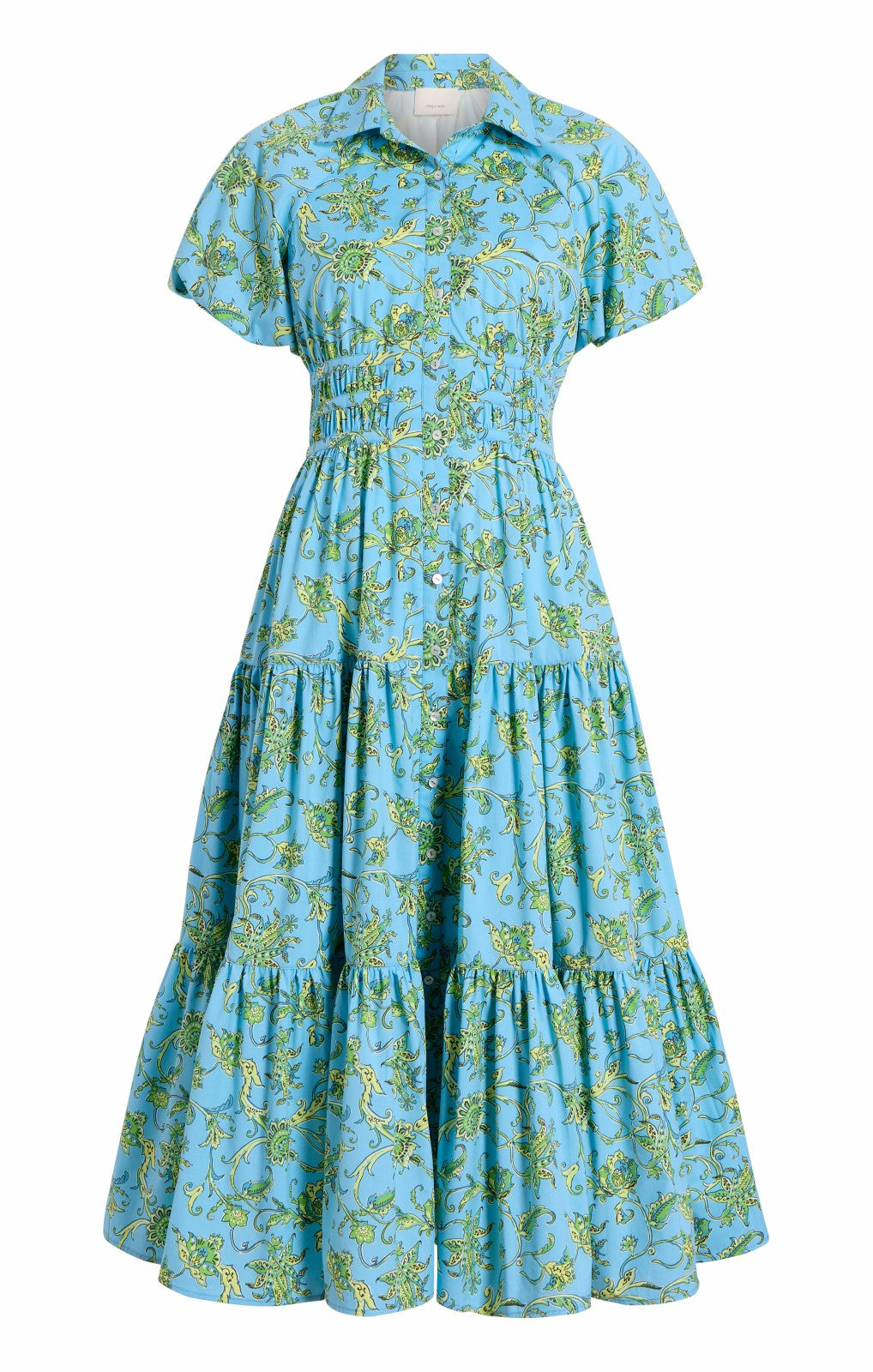 Ivy Paisley Maggio Dress Kettle Pond Multi
