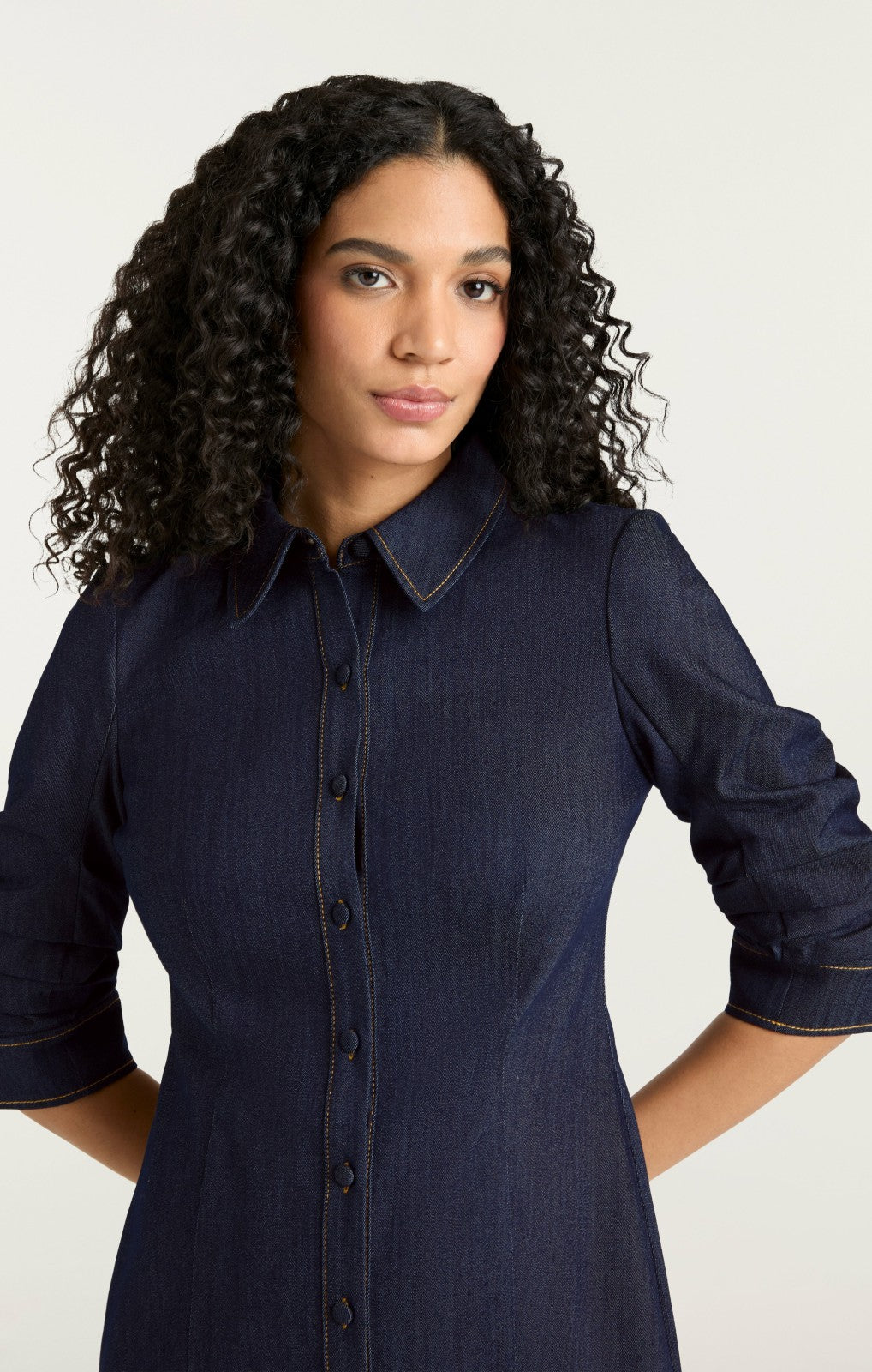 Indigo Denim Lucilla Dress Indigo
